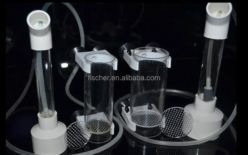 cichlid incubator-3.jpg