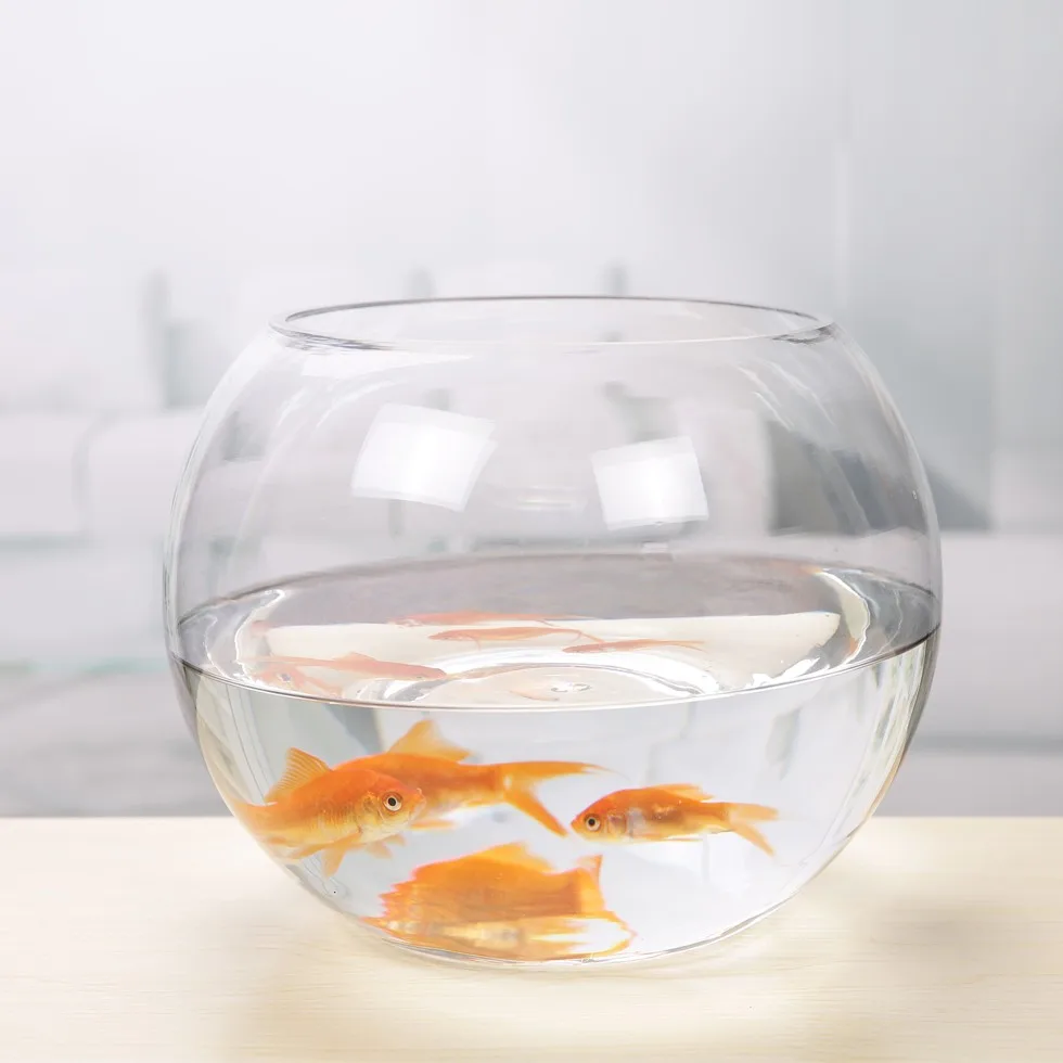 Factory Stock Round Ball Glass Vase/15cm Diameter Mini Fishbowl/fish ...