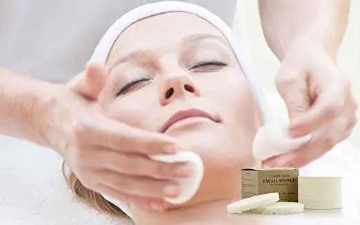 cellulose sponge 23.jpg