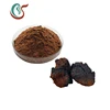 High Quality Organic dried Inonotus obliquus Chaga Mushroom Powder