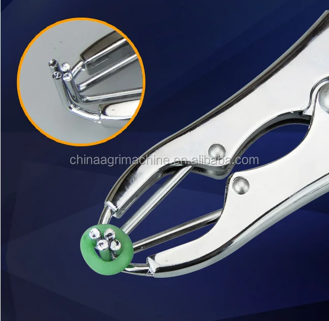 burdizzo castration