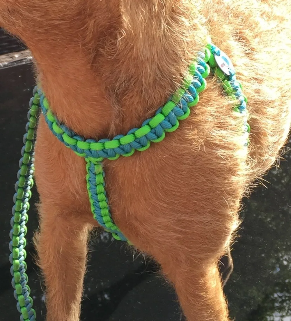 Paracord Retractable Bike Dog Leash Buy Paracord Dog Leash,Paracord