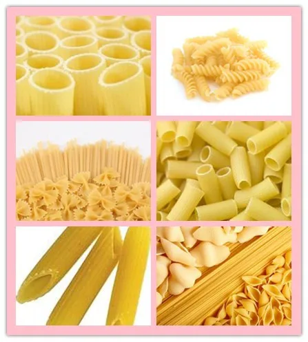 factory supply automatic macaroni pasta manufacturing process