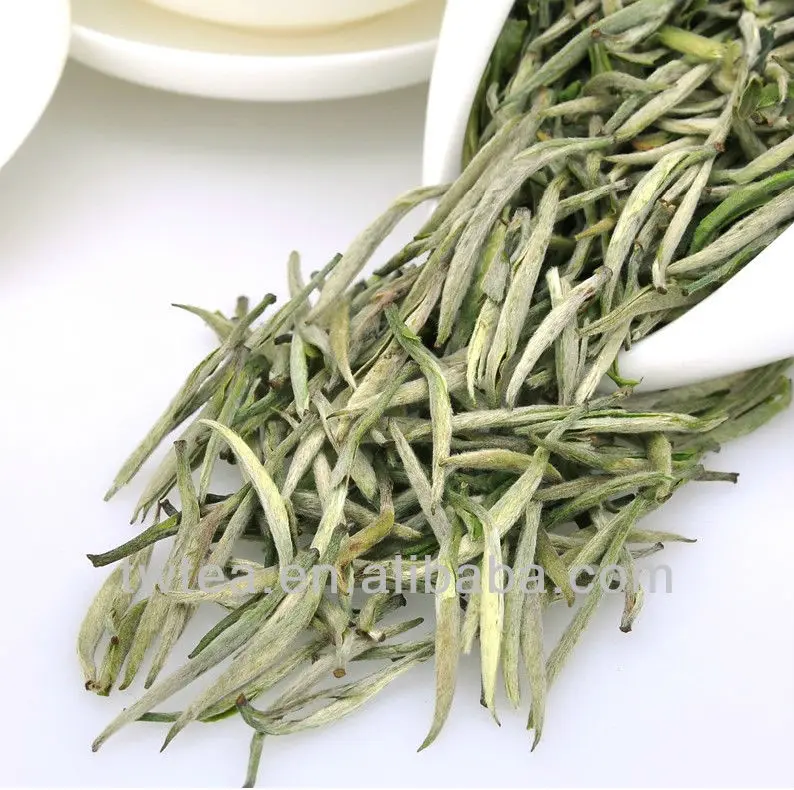silver needle tea 1.jpg