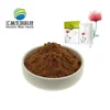 Factory Supply Rhodiola Rosea Root Extract Salidroside Powder