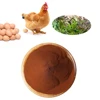 Pourty feed additives poultry layer chicken increase the eggs laying rate poultry nutrition medicine