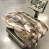 Frozen Sea Fish Pacific Cod 100-200g From Japan