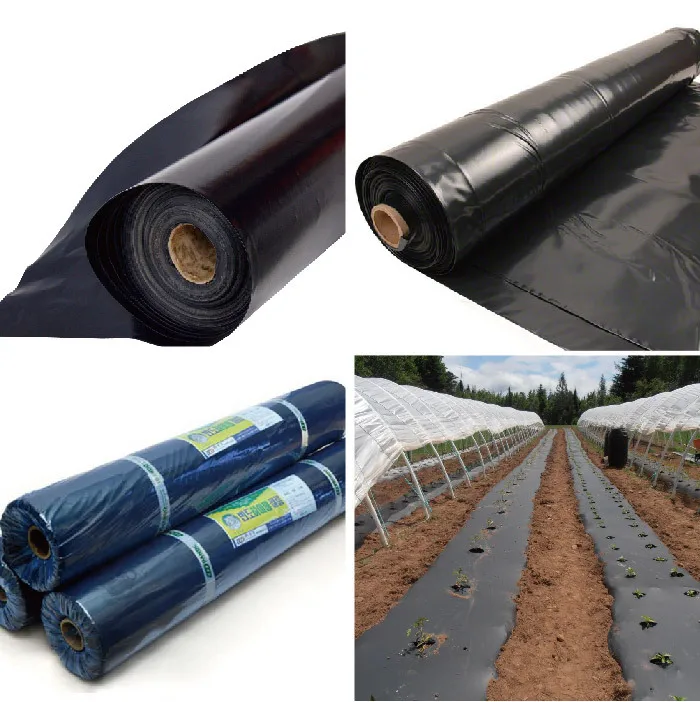 agriculture film Mulch film