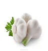 /product-detail/high-quality-garlic-60584189333.html