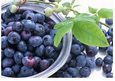 anti-aging acai berry extract / acai berry p.e.