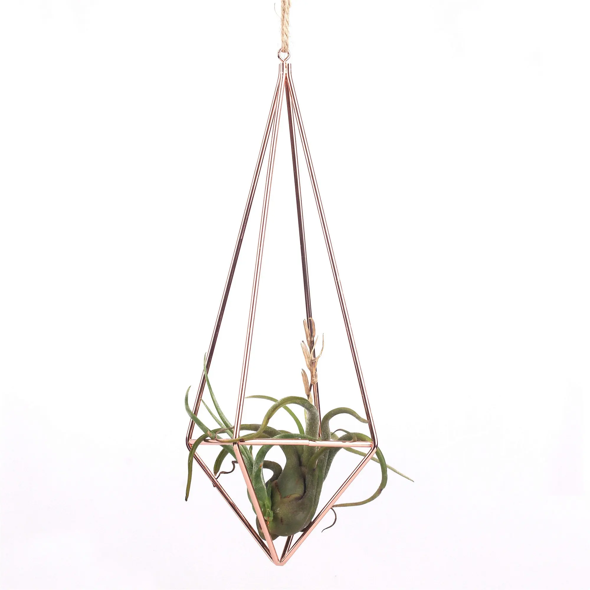 Bronze Rustic Style Freestanding Wall Hanging Geometric Metal Tillandsia Air Plants Rack Nydotd 3 Pack Hanging Air Plant Holder Himmeli for Tillandsia Airplants Display with Chains