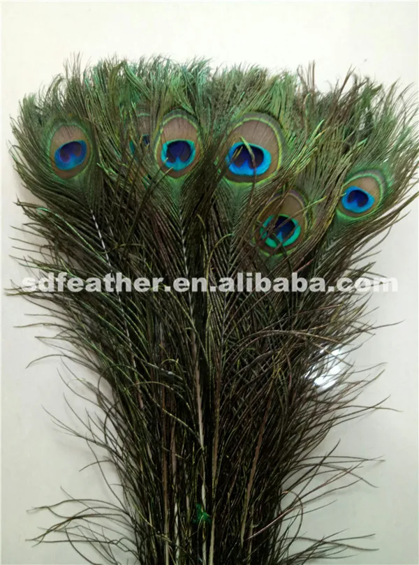 bulk peacock feathers