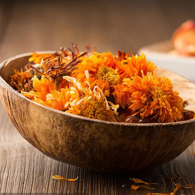 Marigold Flower014.jpg