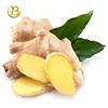 Nigerian ginger /raw ginger root