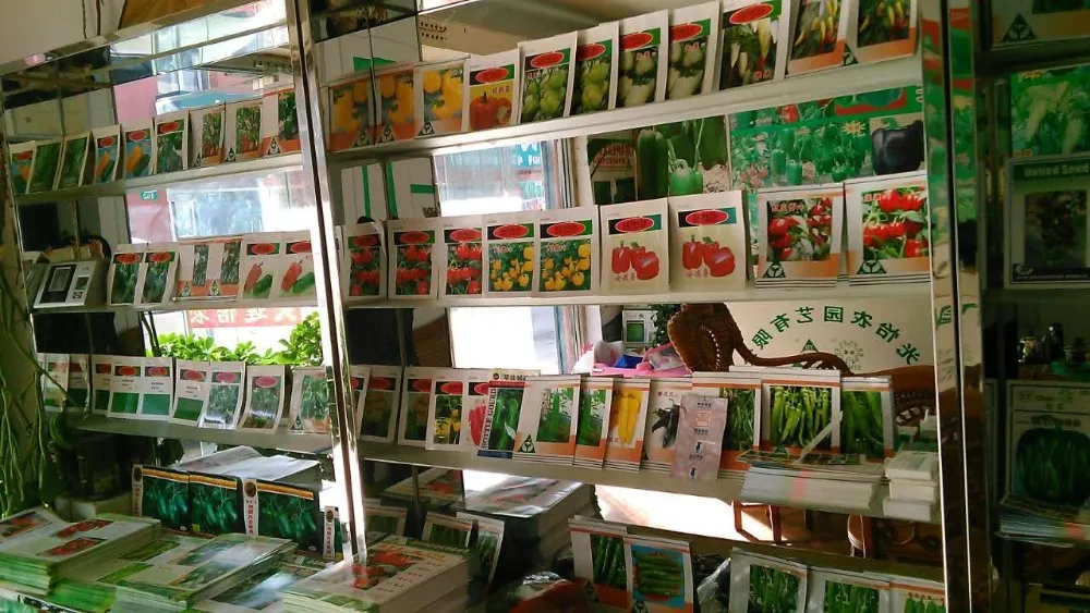 我们的经营理念是通过引进世界一流品种,丰富和发展中国蔬菜种子.