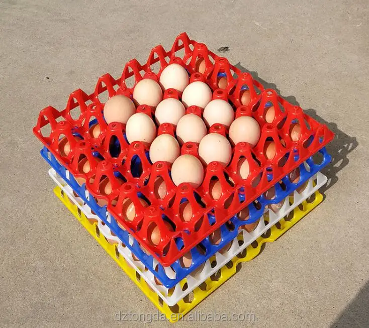 
Plastic egg packaging Tray 30 cell chicken egg and 20 cell duck eggs 