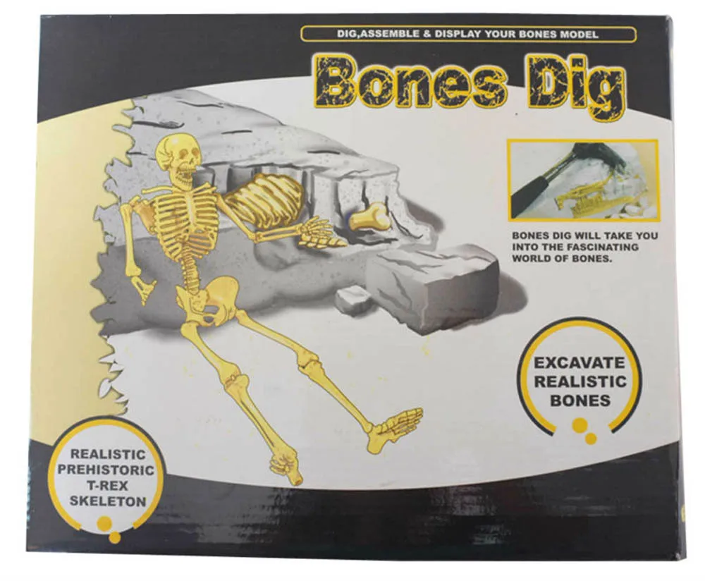 dinosaur archaeology toy