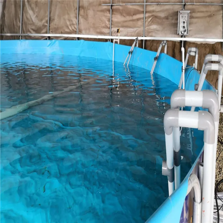 Plastic Container Tilapia Fish Tank For Aquaculture Fish Farming Buy