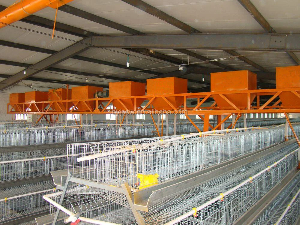 Automatic Chicken Layer Cage A396/layer Egg Chicken Cage For Sale In