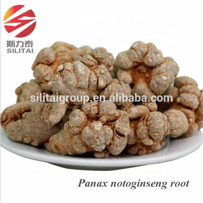 
Wholesale Natural Chinese Raw Herb Panax Notoginseng Root 