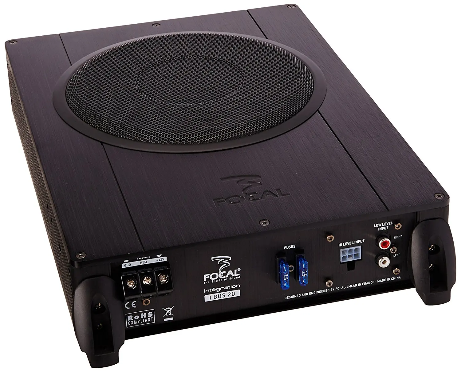 focal ibus 20