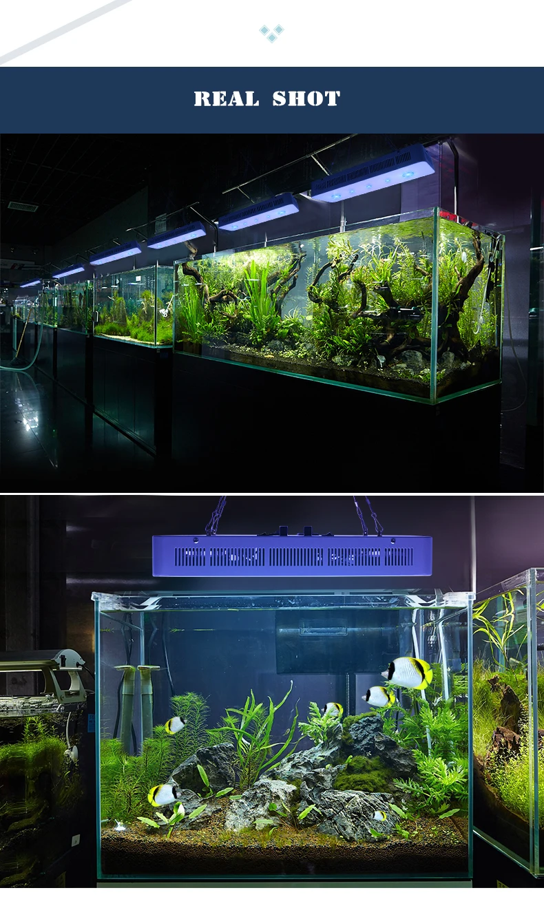 New Coral Reef Fish Tank Lighting LED Aquarium Light With COB LED Chip.jpg