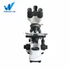 Biological scanning electron microscope with 4x magnification