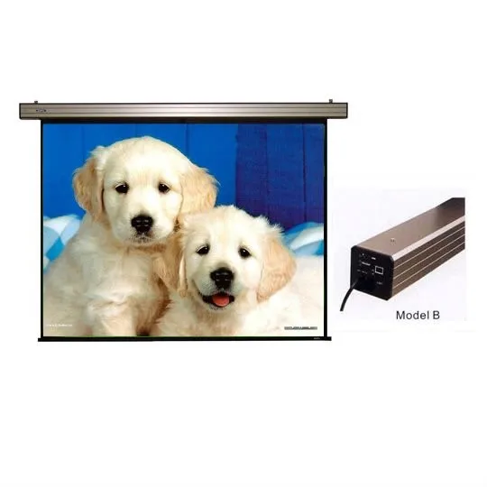 200 inch projector screen stand