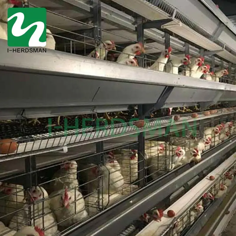 battery chicken layer cage sale for pakistan farm