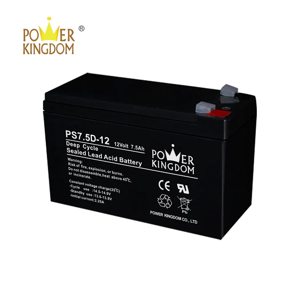 Power Kingdom poles design 8d deep cycle battery personalized deep discharge device