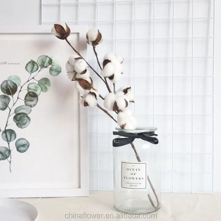 buy natural dried cotton stems decor filler floral arrangemtnt