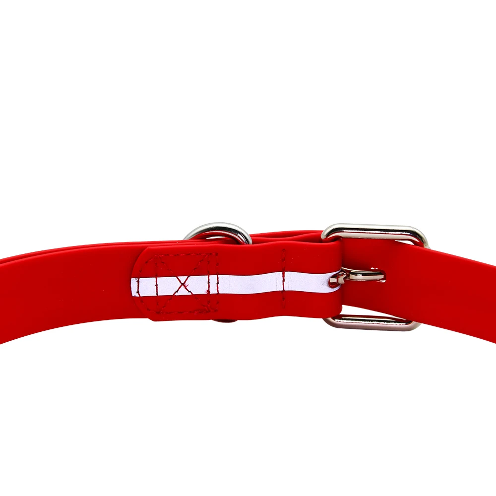 Custom Refletive Collar.jpg