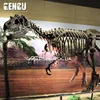 Dinosaur skeleton replicas