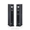 2.0 Professional Audio System Tower Speaker