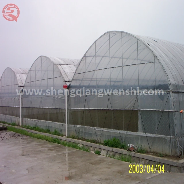 plastic greenhouse (29)