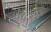 Battery Cages For Egg Chicken With Layers (Chicken Cage Guangzhou, Direct Sale Factory)