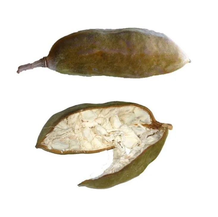 top quality and favorable price pure natural organic baobab oil