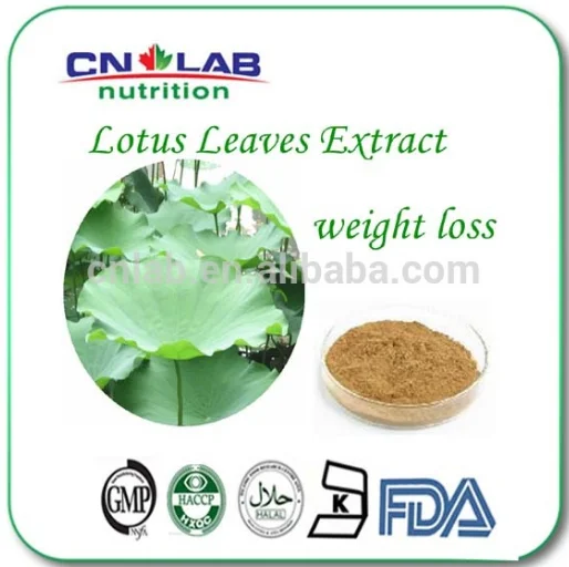 Lotus leaf powder weight loss