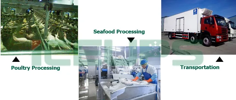 Poultry Seafood processing