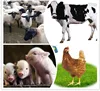 /product-detail/phytase-enzyme-for-poultry-883872902.html