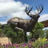 Life Size Cast Bronze Deer Statue Garden Sculpture Deer