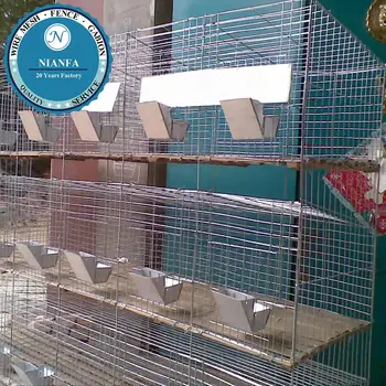 fancy rabbit cages