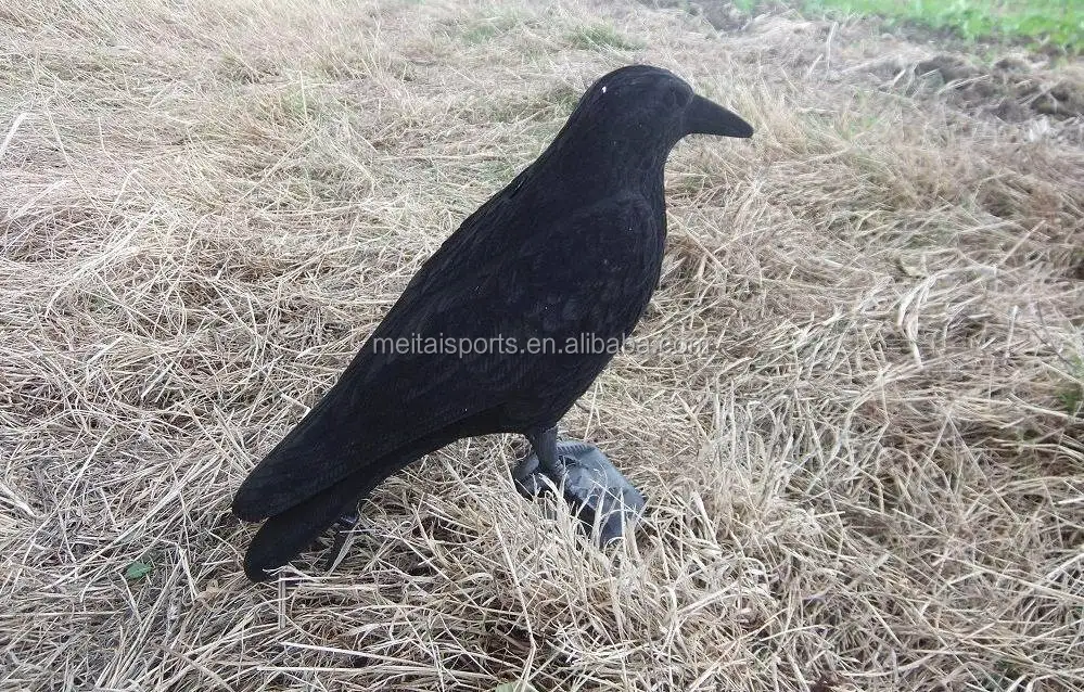 Crow body. Магия ворона Грач.