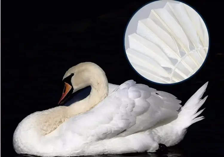 China Manufacture Duck Feather Badminton Shuttlecock Buy China