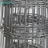 Animal Wire Mesh Hinge Joint Field Fence to Africa market