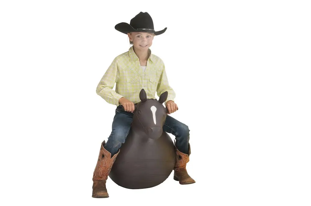 inflatable horse ball