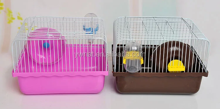 hamster fun home