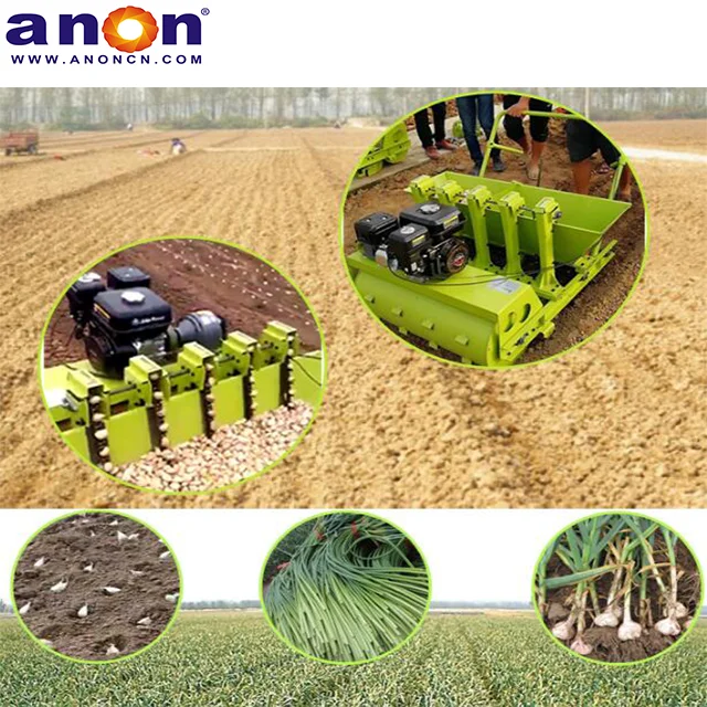 Anon Six Rows Tractormounted Garlic Planter Seeding Garlic Planting