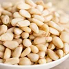 Chinese suppliers Roasted Pine Nuts, Pecan Nuts, Pine Kernels