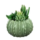 Ceramic Bonsai Cactus Shaped Pot, Ceramic Garden Succulent Plant Flower Pot